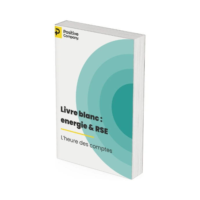 CSR and Energy White Paper